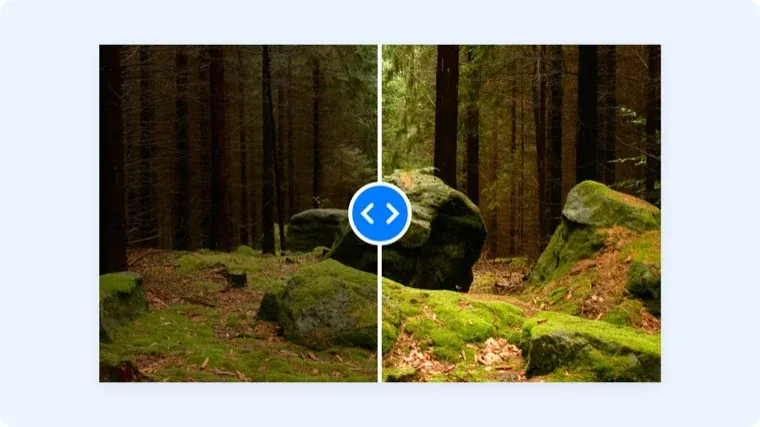 Image Brightness Editor