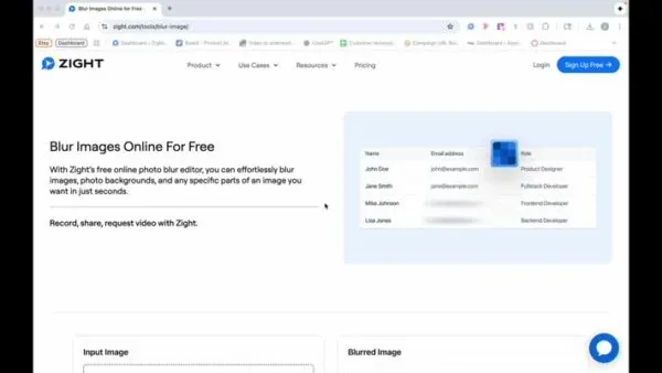 Open Zight's Free Online Tool