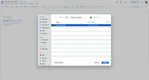 Click on "Open" to insert the GIF into your document.