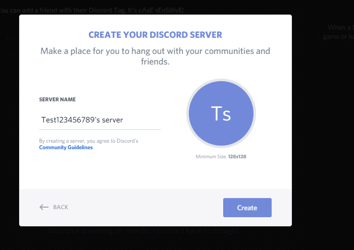 Name your server to use discord screen share
