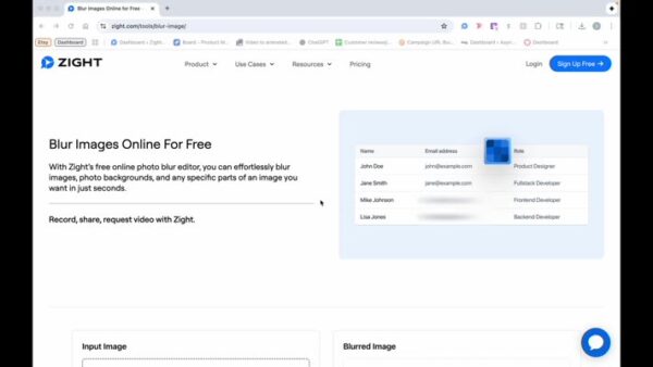 Open Zight's Free Online Tool