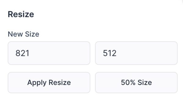 GIF editor resize settings.
