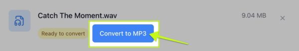 Convert to MP3