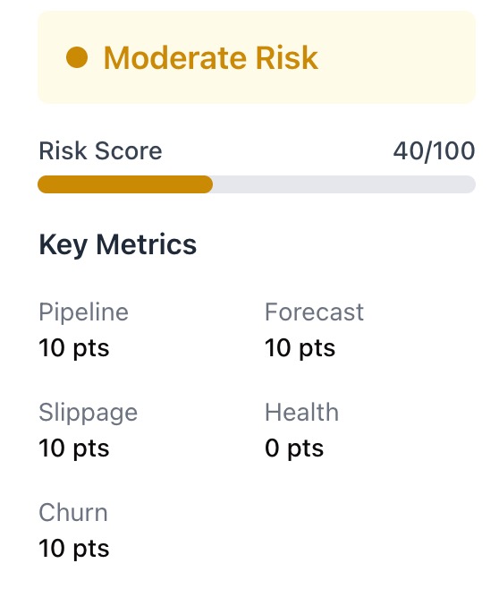 Revenue risk analyzer showing moderate risk.