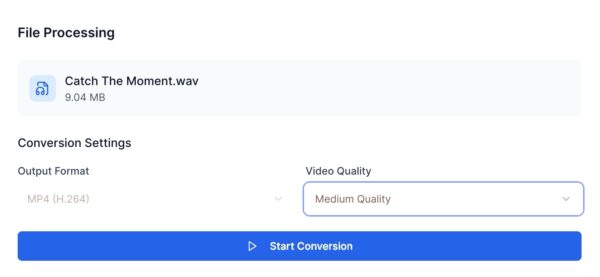 WAV to video conversion settings.