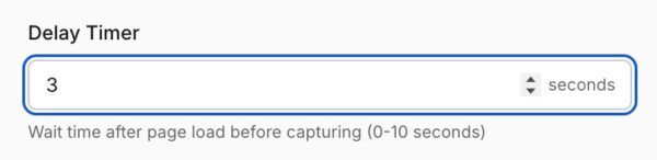 Website screenshot tool delay timer.